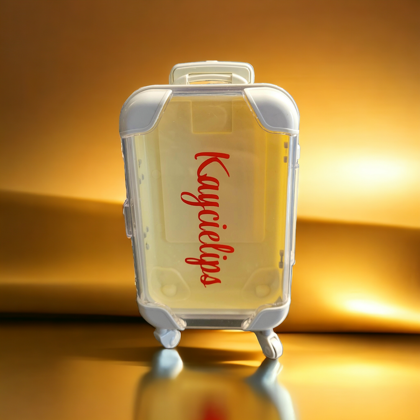 Lip Gloss Case